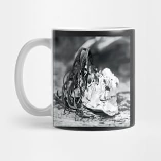 Sea shelf with weed Mug